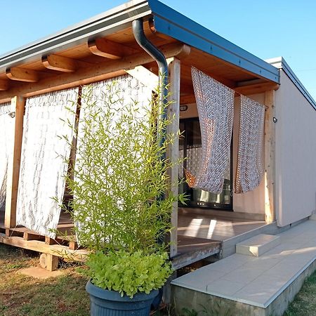Nature Home Eco-Friendly Pet-Friendly 파자나 외부 사진